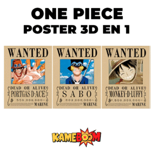 ONE PIECE #1
